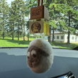 Load image into Gallery viewer, DIPS car diffuser