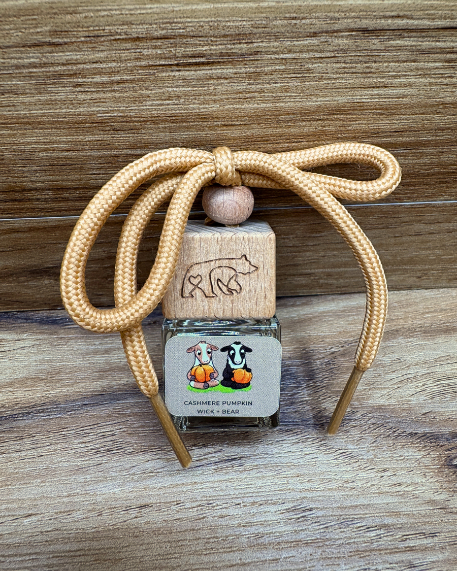 BESTIES PUMPKIN PATCH car diffuser