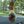 Load image into Gallery viewer, DIPS car diffuser

