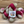 Load image into Gallery viewer, &#39;The Red&#39; featured wool blend
